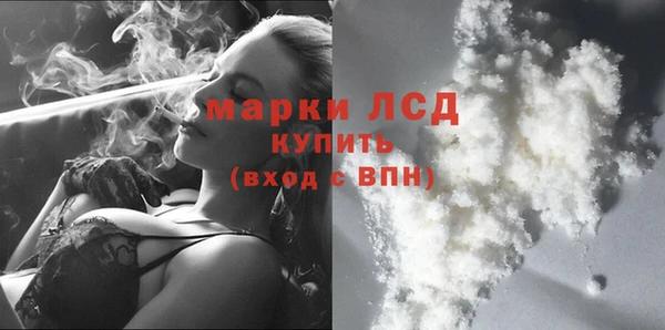 СК Каменка