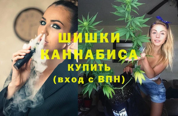 СК Каменка