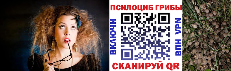 Галлюциногенные грибы GOLDEN TEACHER  Купить закладки  Полевской 